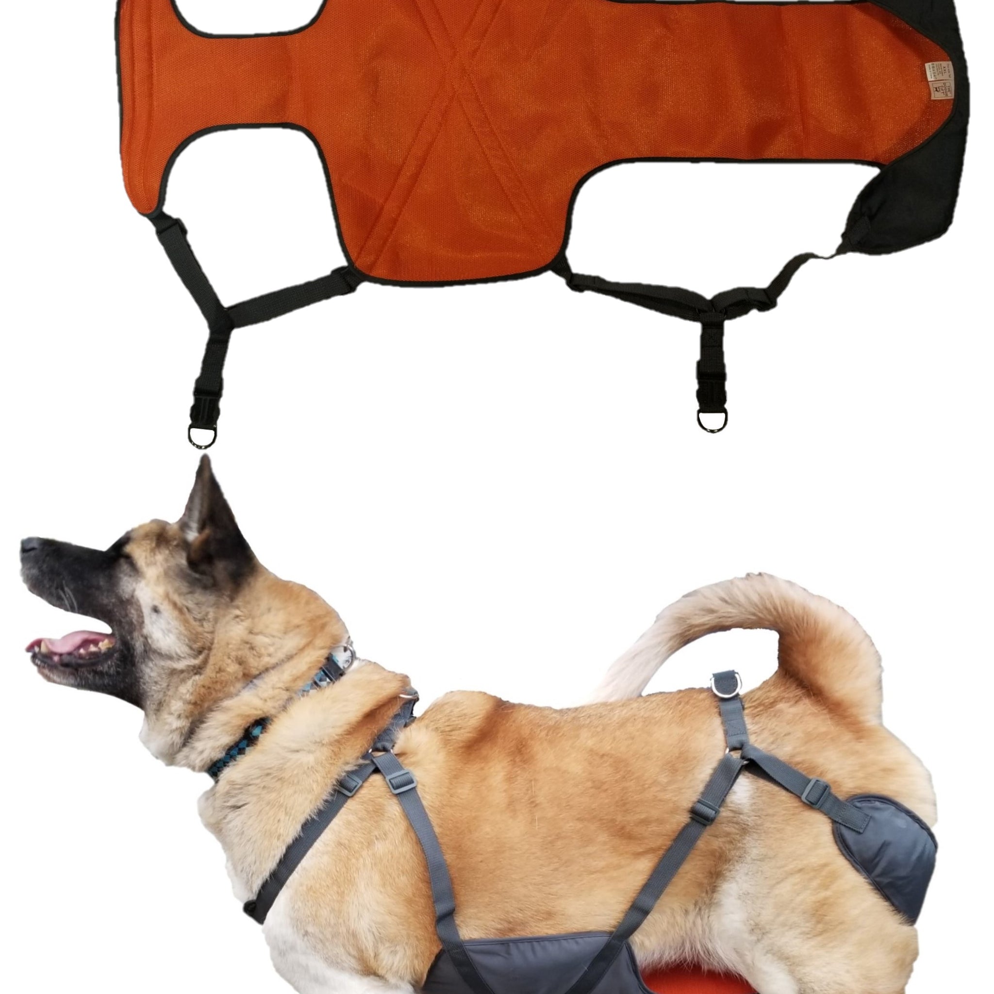 XXL Harness (121-160lbs / 55-73kgs)